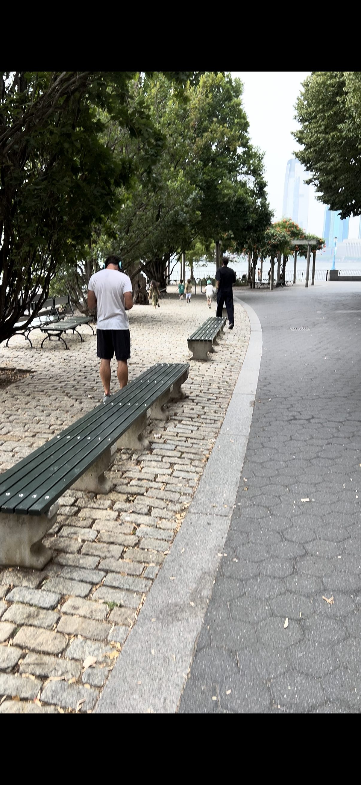 South Cove before — mature tree canopy lining the waterfront walkway