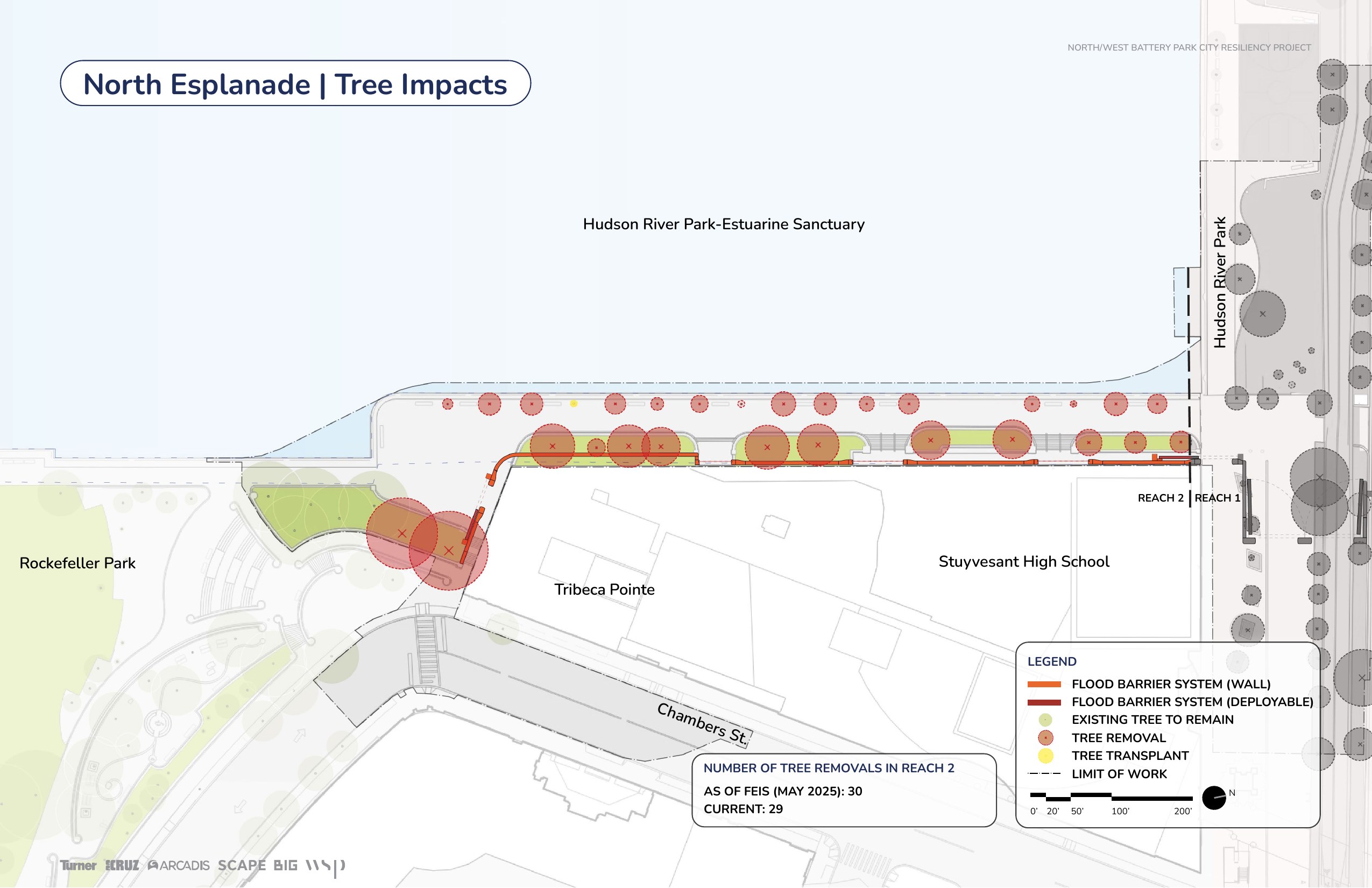 North Esplanade tree impact map — 29 trees marked for removal